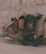 329.jpg