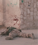 331.jpg