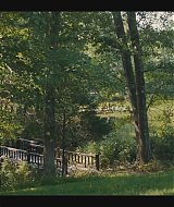 274.jpg