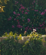 1419.jpg