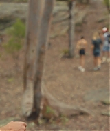Filename=2048.jpg
Filesize=466KiB
Dimensions=1920x800
Date added=Oct 07, 2024 2048.jpg