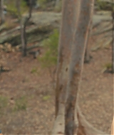 Filename=2051.jpg
Filesize=480KiB
Dimensions=1920x800
Date added=Oct 07, 2024 2051.jpg