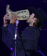 201.jpg
