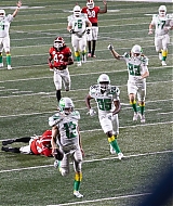 06.jpg