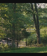275.jpg