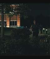 224.jpg